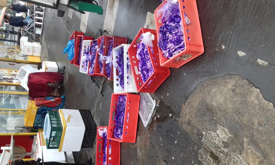 2019-6-17-102716.3. (8).jpg